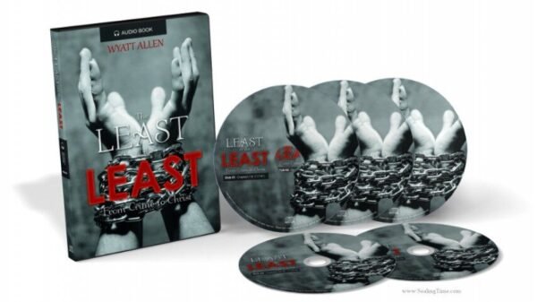 The Least of the Least (Audiobook) by Wyatt Allen is displayed, featuring five discs and a cover with black-and-white hands bound by chains; the title and author appear in white and red text on each item.