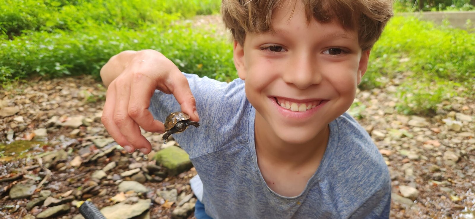 A smiling child with light brown hair holds up a tiny turtle, pinching its shell gently. The child wears a light blue shirt and is outdoors on rocky ground with green grass and foliage in the background.